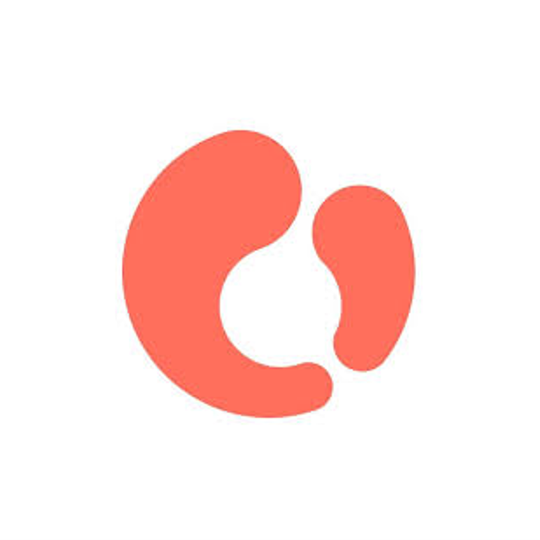 Team Lead & Software Developer